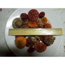 Мухомор красный, сухие шляпки (Amanita Muscaria)
